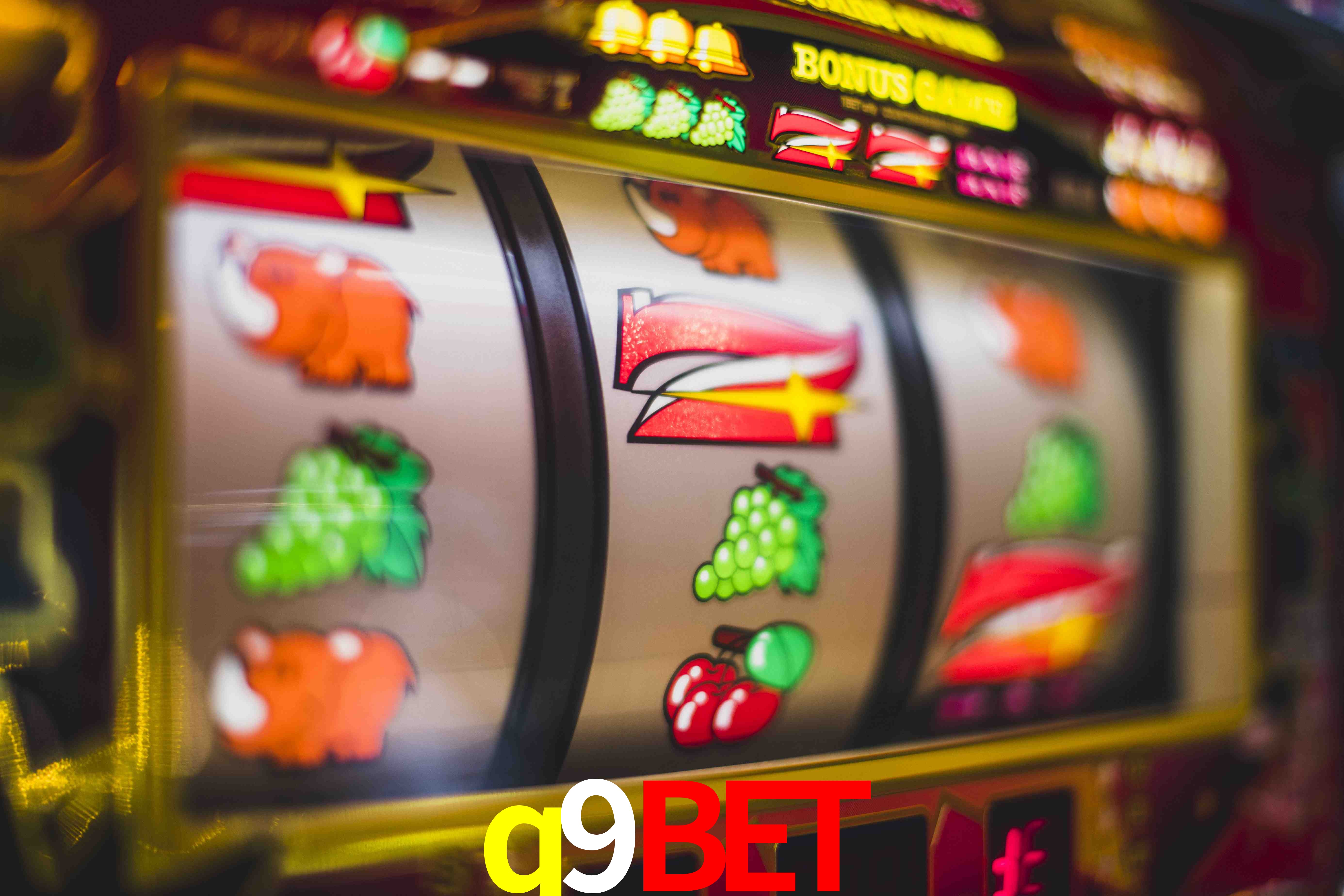Basketball Betting q9bet